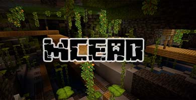 GİZLİLİK POLİTİKASI