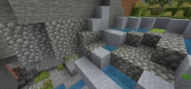 The Wild Environment