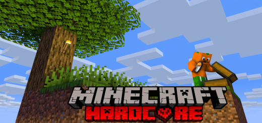 Skyblock'u Ölçeklendirin